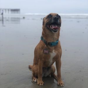 Meet your Posher, Inés